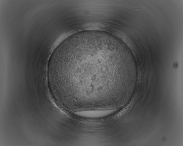 X0000091180986200708231525