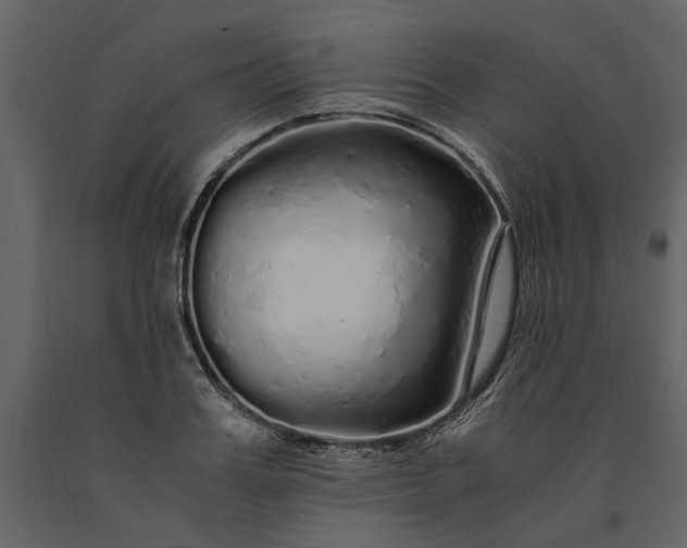X0000091180987200708231525