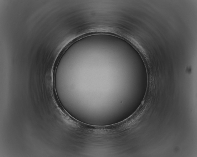X0000091180988200708231525