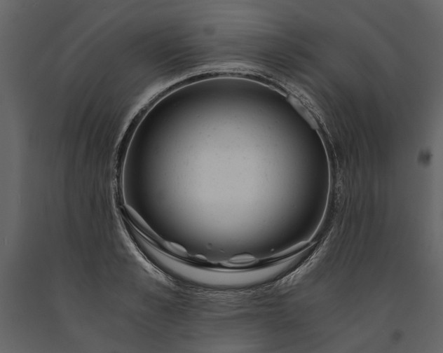 X0000091180989200708231525