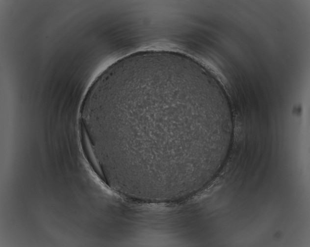 X0000091180990200708231525