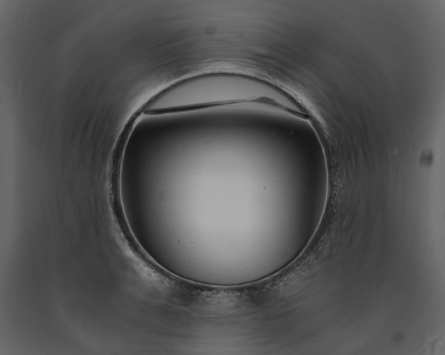 X0000091180991200708231525
