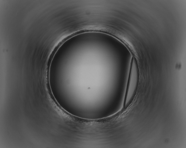 X0000091180992200708231525