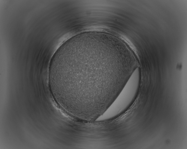X0000091180994200708231525