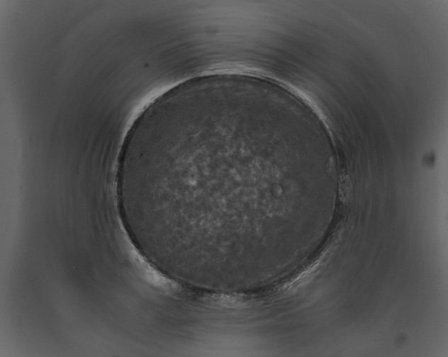 X0000091180995200708231525