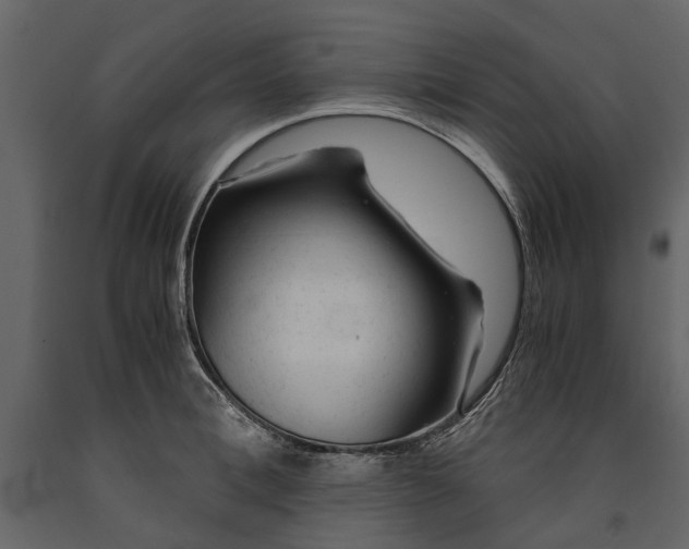 X0000091180996200708231525