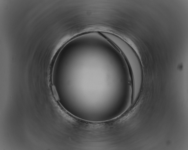 X0000091180997200708231525