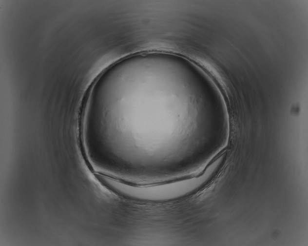 X0000091180999200708231525