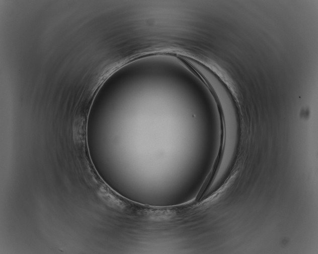 X0000091181001200708231525