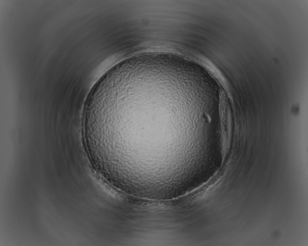X0000091181002200708231524