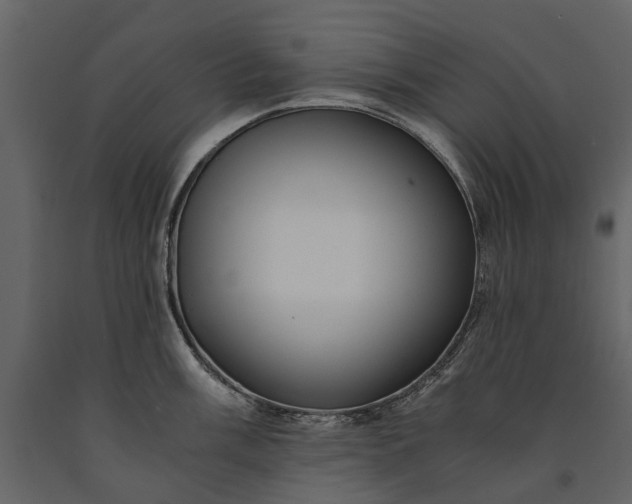 X0000091181003200708231524