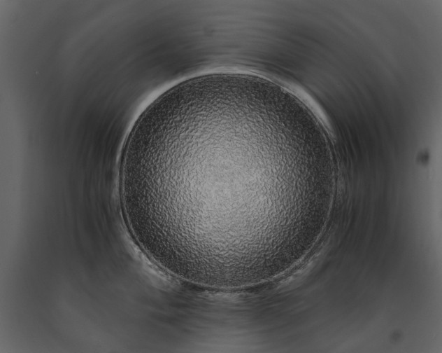 X0000091181004200708231524