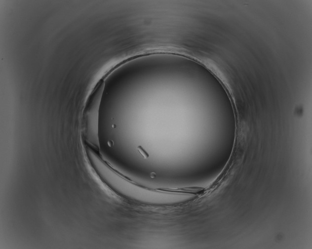 X0000091181005200708231524