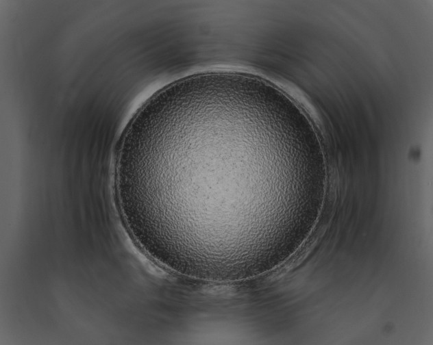X0000091181006200708231524