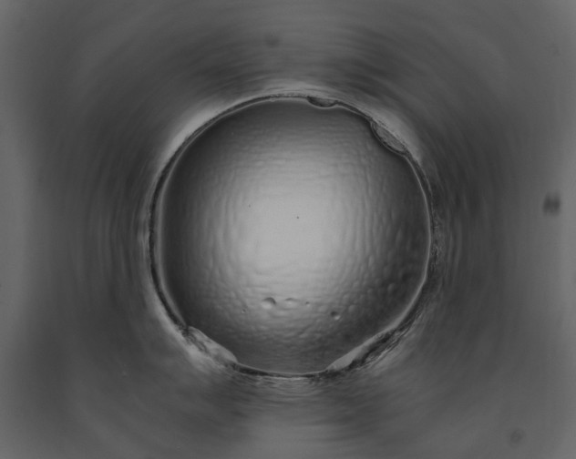 X0000091181007200708231524