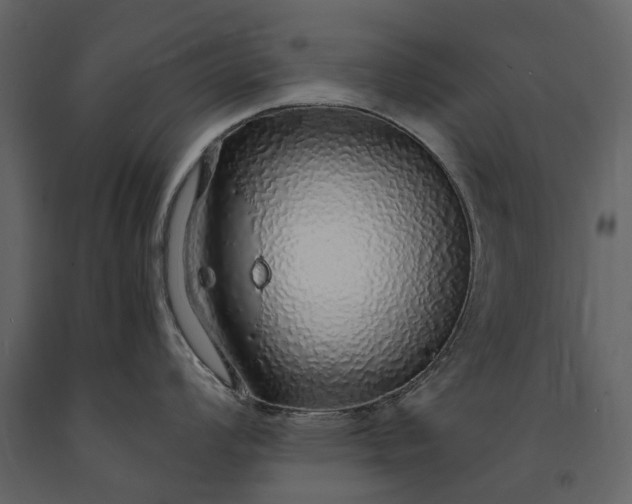 X0000091181008200708231524