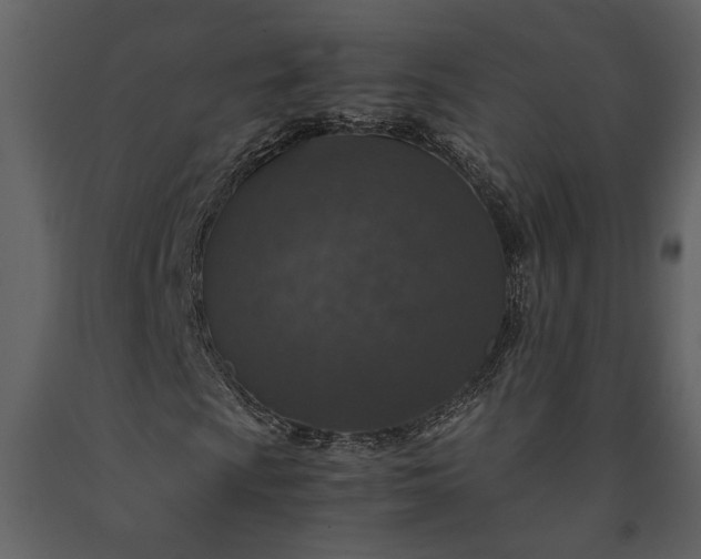 X0000091181009200708231524