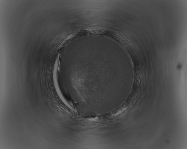 X0000091181010200708231524