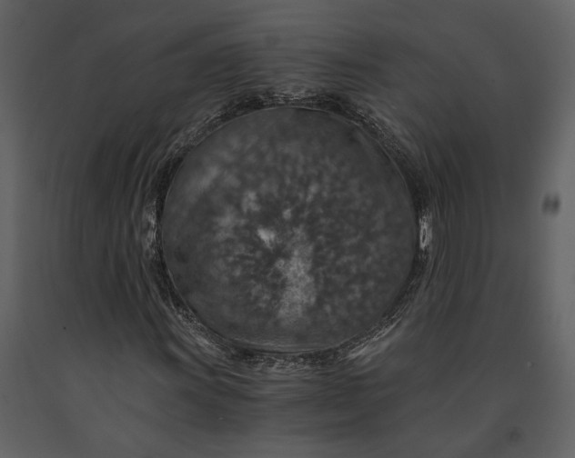 X0000091181011200708231524