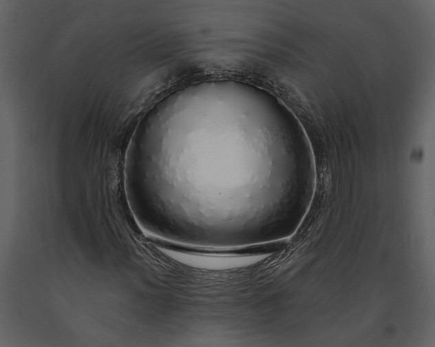 X0000091181012200708231524