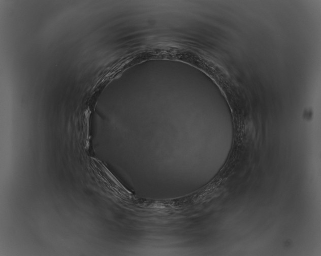 X0000091181013200708231524