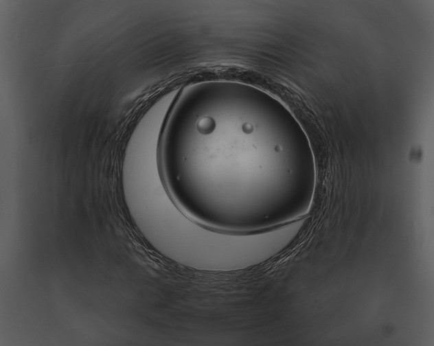 X0000091181014200708231524