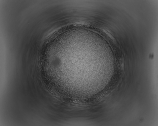 X0000091181015200708231524
