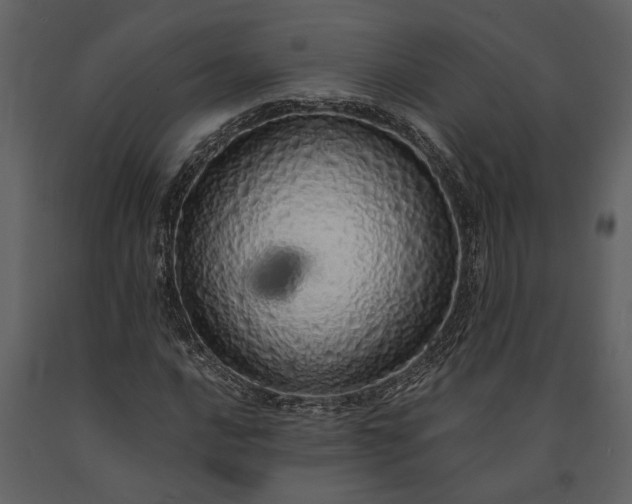 X0000091181016200708231524