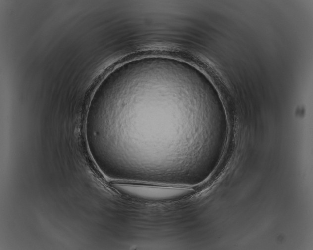 X0000091181017200708231524
