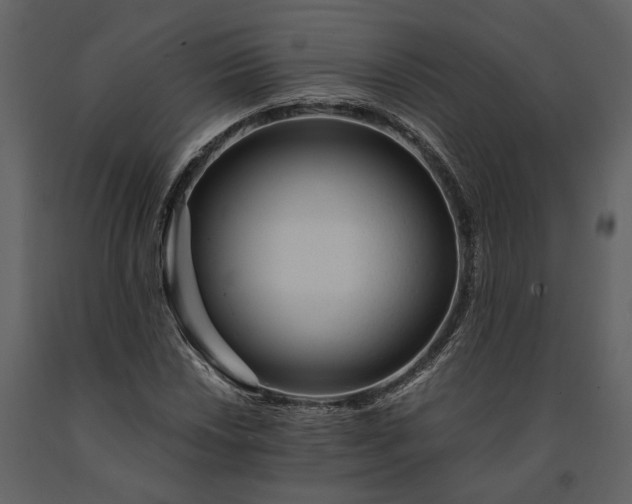 X0000091181018200708231524