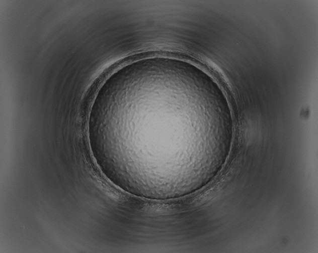 X0000091181019200708231524