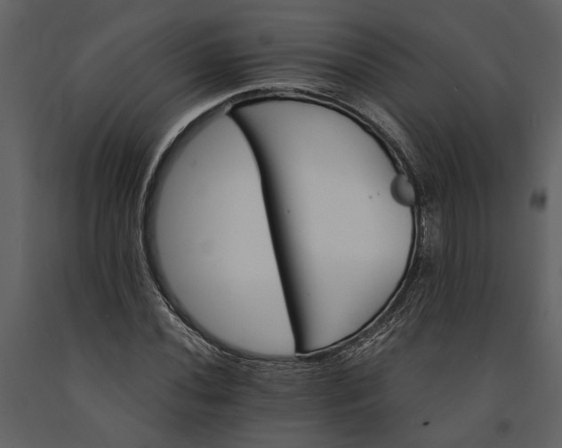 X0000091181020200708231524