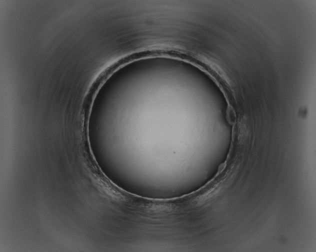 X0000091181021200708231524