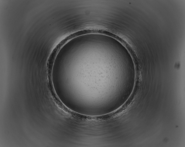 X0000091181022200708231524