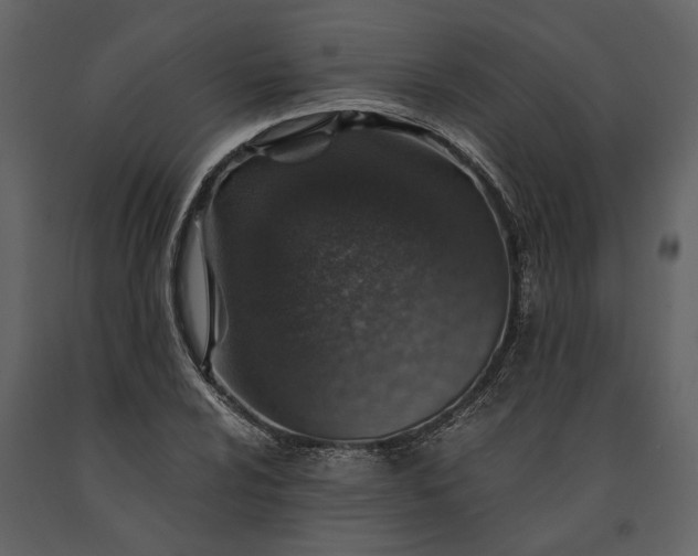 X0000091181024200708231524