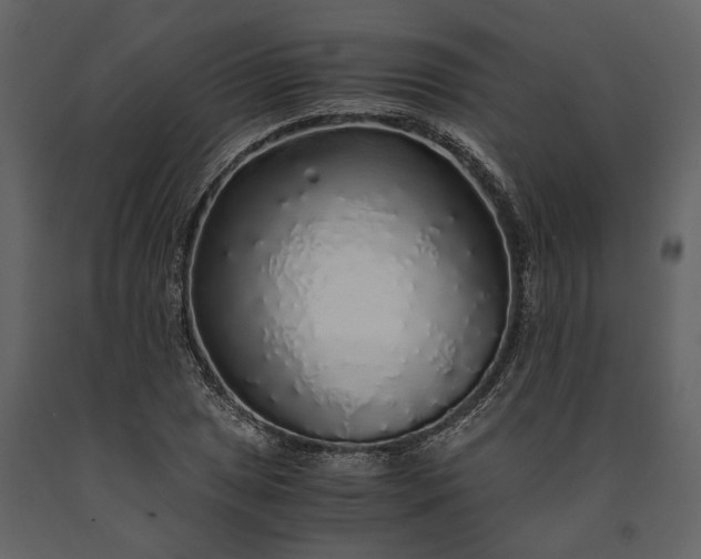 X0000091181025200708231524