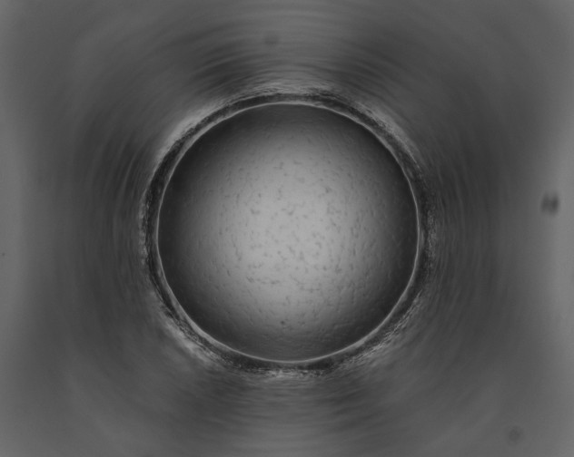 X0000091181026200708231524