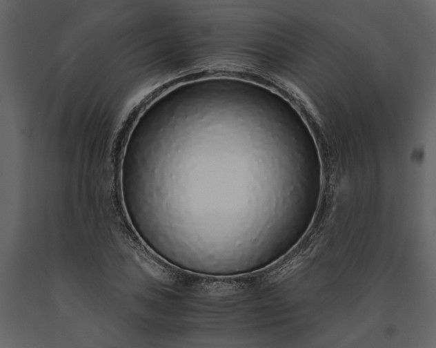 X0000091181027200708231524