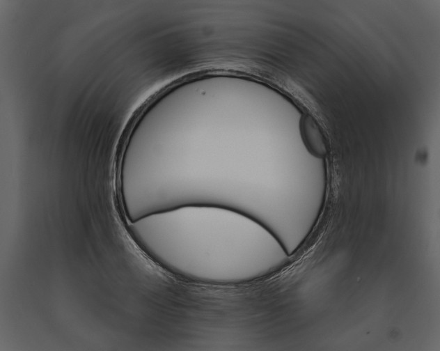 X0000091181028200708231524