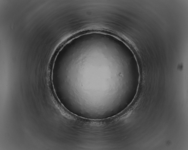 X0000091181029200708231524