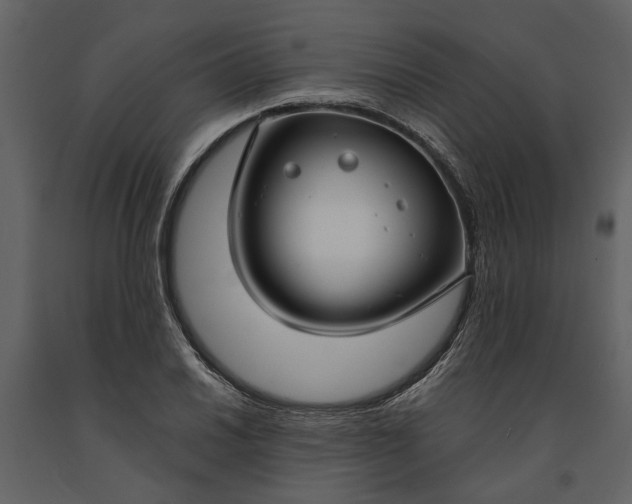 X0000091181030200708231524