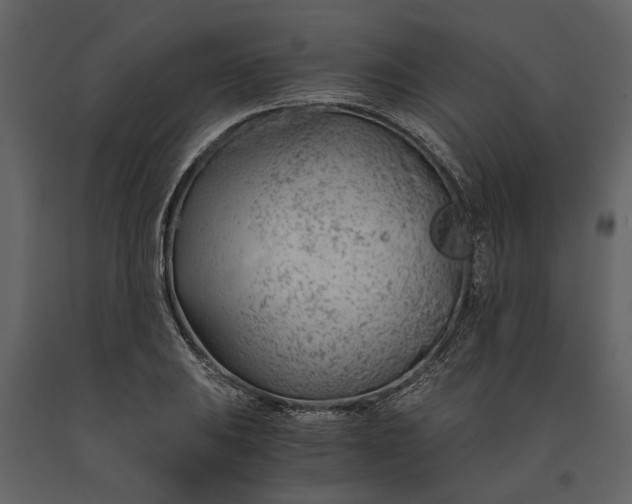 X0000091181031200708231524
