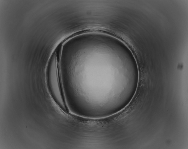 X0000091181032200708231524