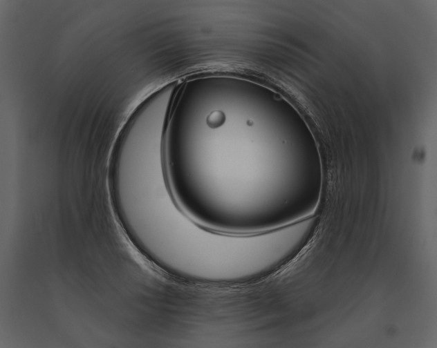 X0000091181034200708231524