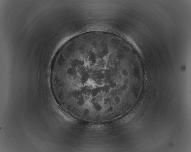 X0000091181035200708231524