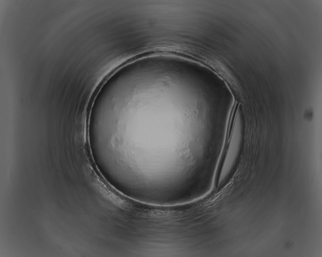 X0000091181036200708231524