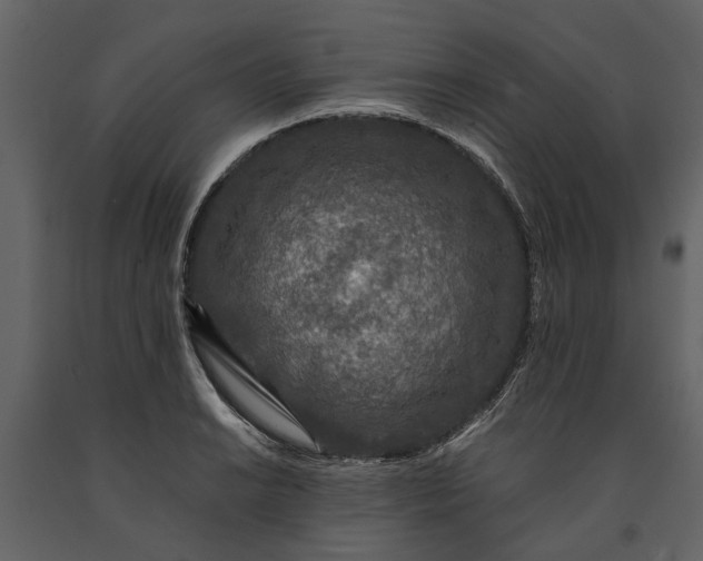 X0000091181038200708231524