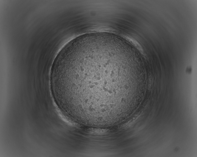 X0000091181039200708231524