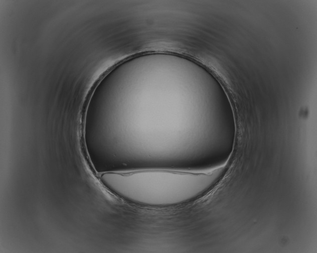 X0000091181040200708231524