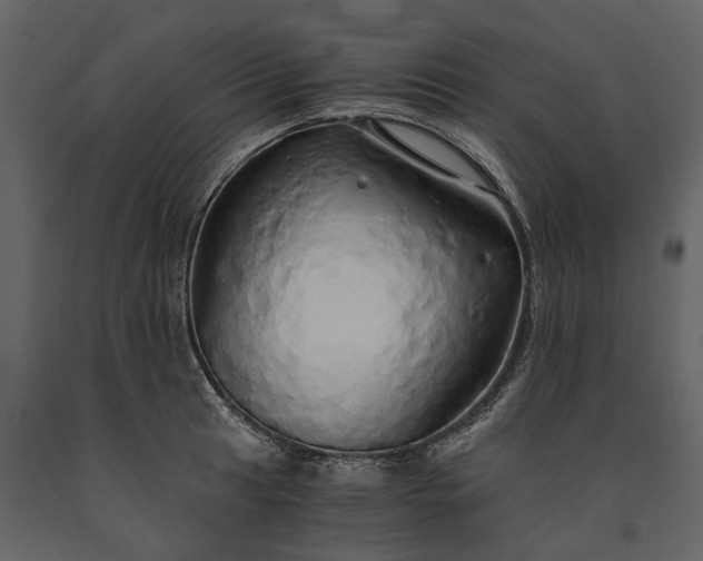 X0000091181041200708231524